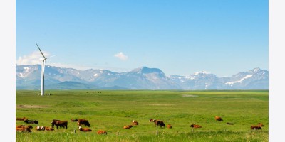 Alberta ban hành các quy định mới và vùng cấm đối với các dự án năng lượng gió và mặt trời